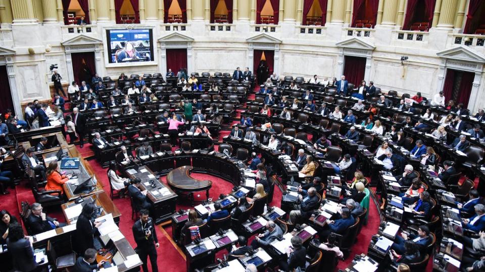 Media sanción en la Cámara de Diputados