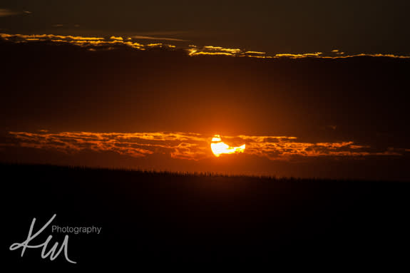 Photographer Kali Morgan captured this photo of a partial solar eclipse over Illinois on Oct. 23, 2014.