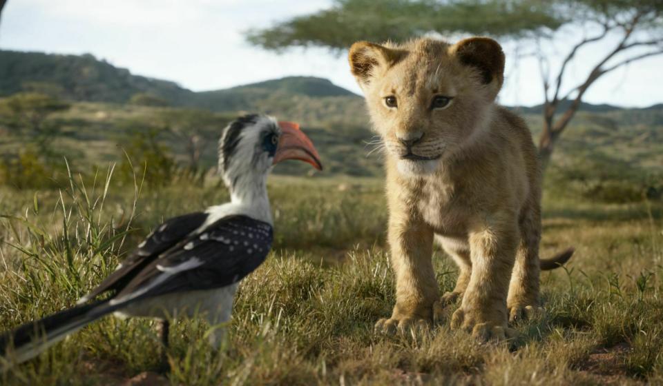 This image released by Disney shows the characters Zazu, voiced by John Oliver, left, and Simba, voiced by JD McCrary, in a scene from "The Lion King," directed by Jon Favreau. (Disney via AP)