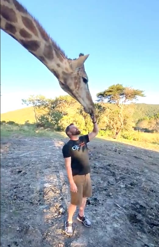 Whitley with a giraffe he examined in South Africa in 2022. (Oklahoma Chiropractic)