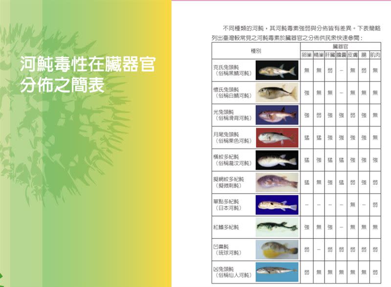 食藥署有整理河豚毒性圖鑑（圖／食藥署提供）