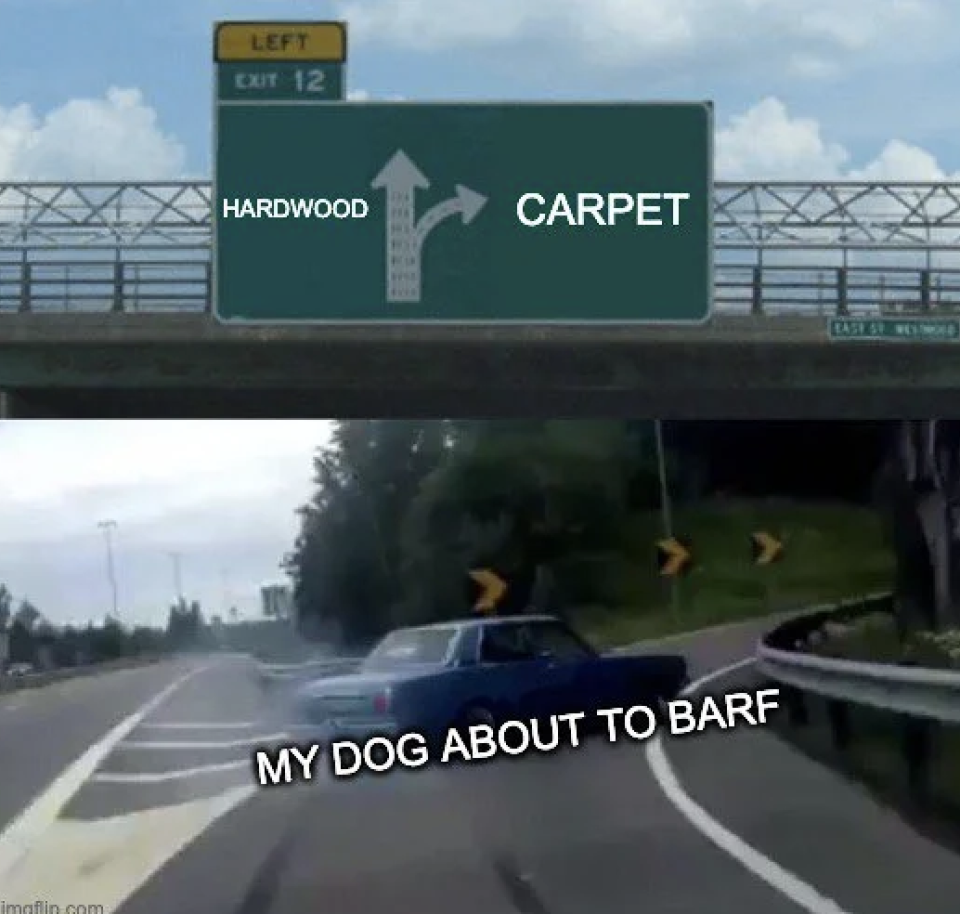 "My dog about to barf"