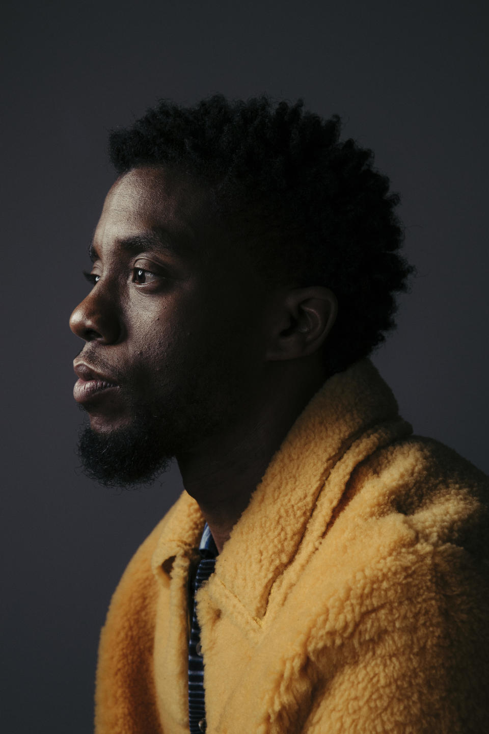 FILE - In this Feb. 14, 2018 photo, actor Chadwick Boseman poses for a portrait in New York. Boseman portrayed music legend James Brown in the 2014 film "Get On Up." (Photo by Victoria Will/Invision/AP, File)