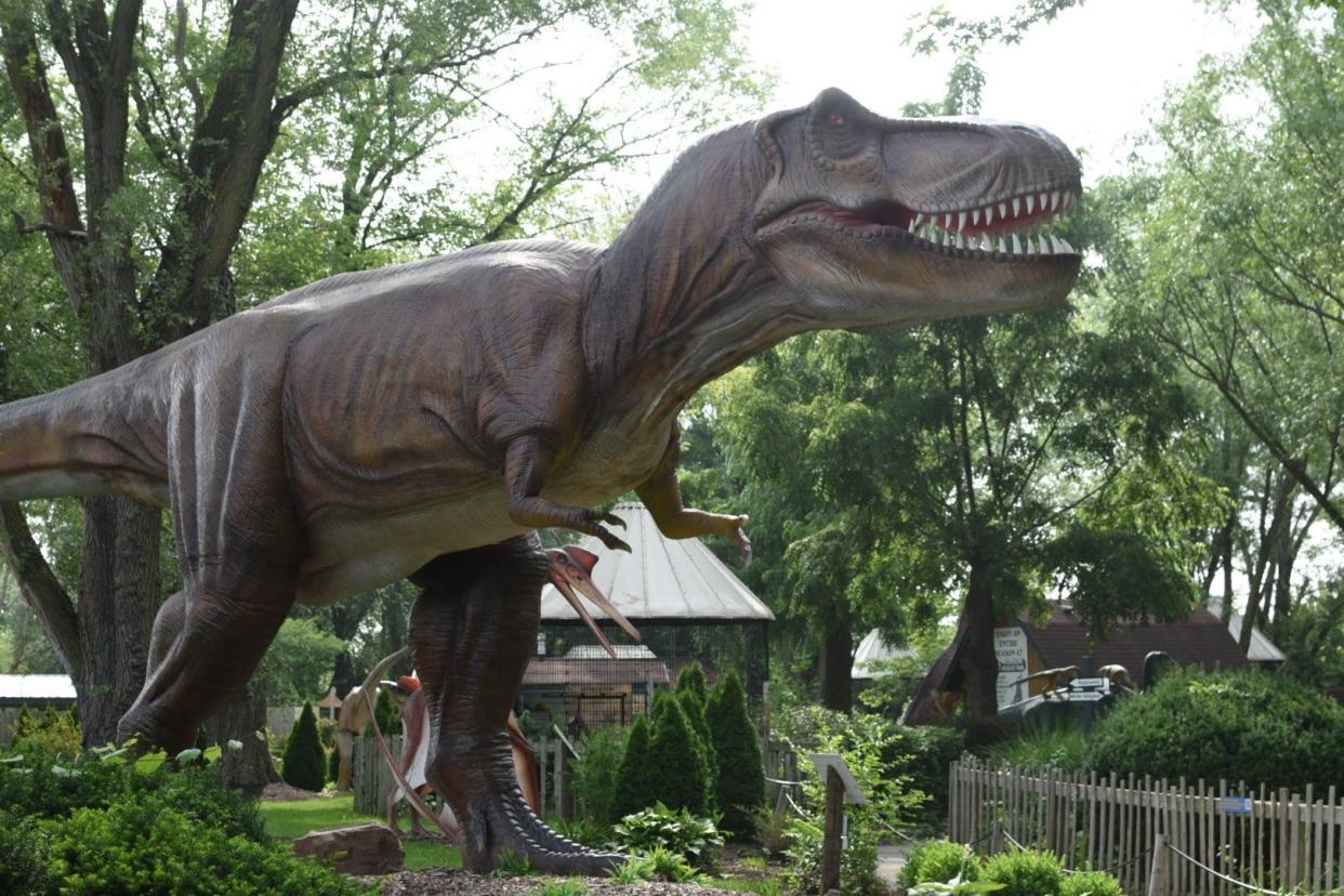 Life-sized dinosaurs have become a popular attraction at African Safari Wildlife Park this summer.