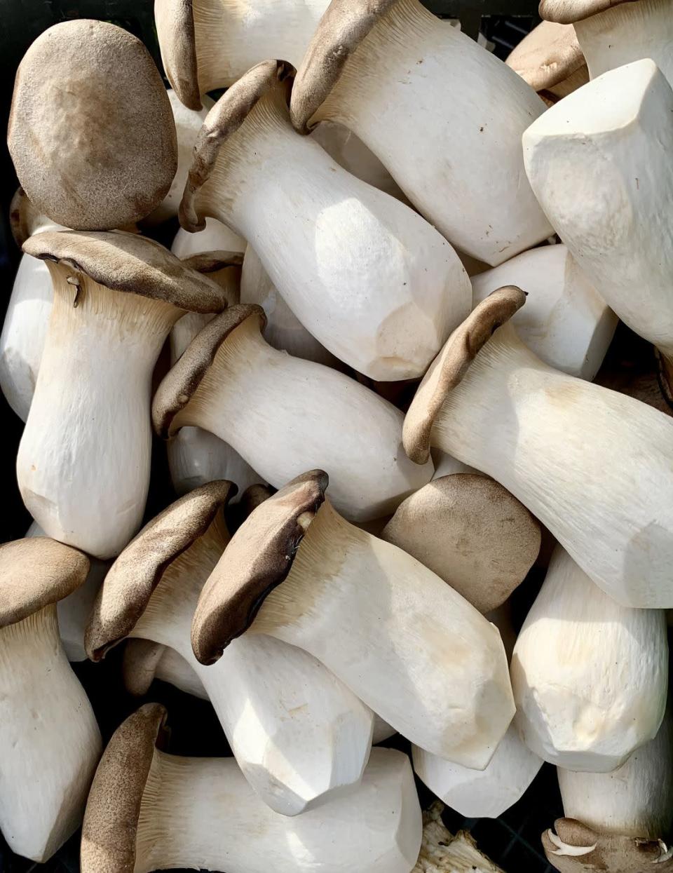<p>Trumpet mushrooms have a thick stalk and thin caps. "Also known as king oyster mushrooms, these large mushrooms have a great, scallop-like texture," Linford said. "Excellent fried or added to sauces or stews." Try <a href="https://www.delish.com/cooking/recipe-ideas/a15325/seared-scallops-recipe-fw0311/" rel="nofollow noopener" target="_blank" data-ylk="slk:replacing the scallops in this recipe" class="link ">replacing the scallops in this recipe</a> with a one-inch slice of the stem.</p>