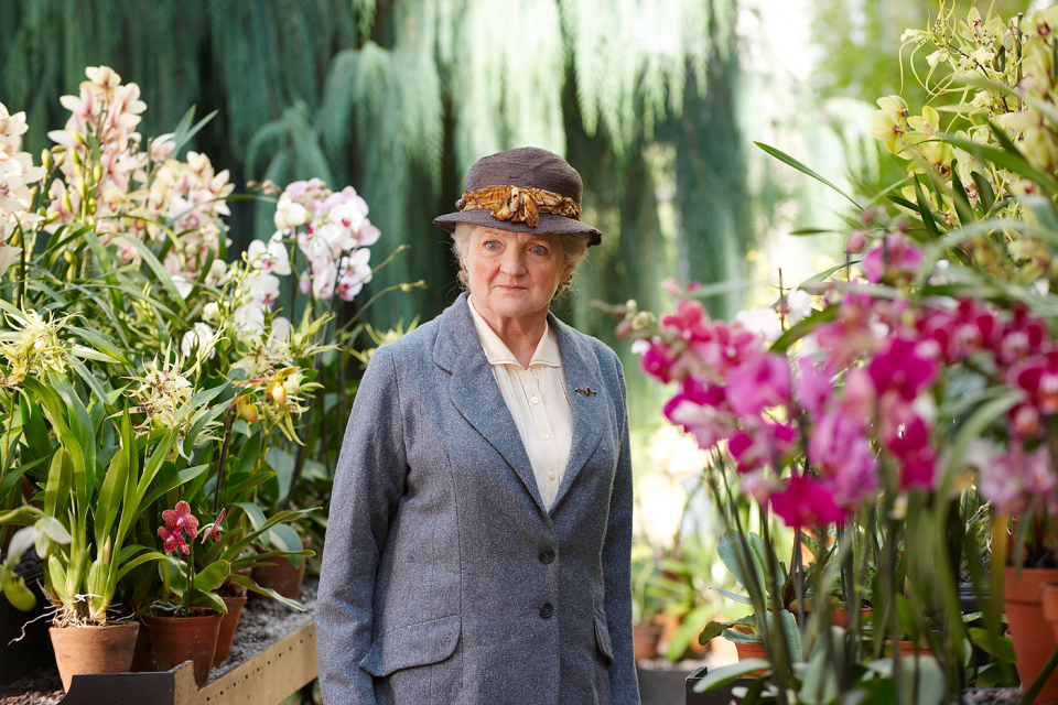 An image from Marple shows an old woman standing surrounded by flowers