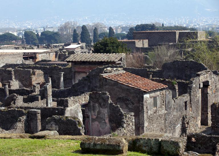 The House of Neptune seen in the ancient Roman city of Pompeii on March 18, 2014