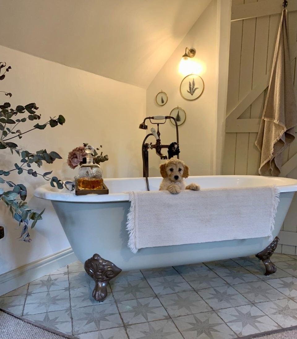 a dog sitting in a freestanding bathtub in a bathroom