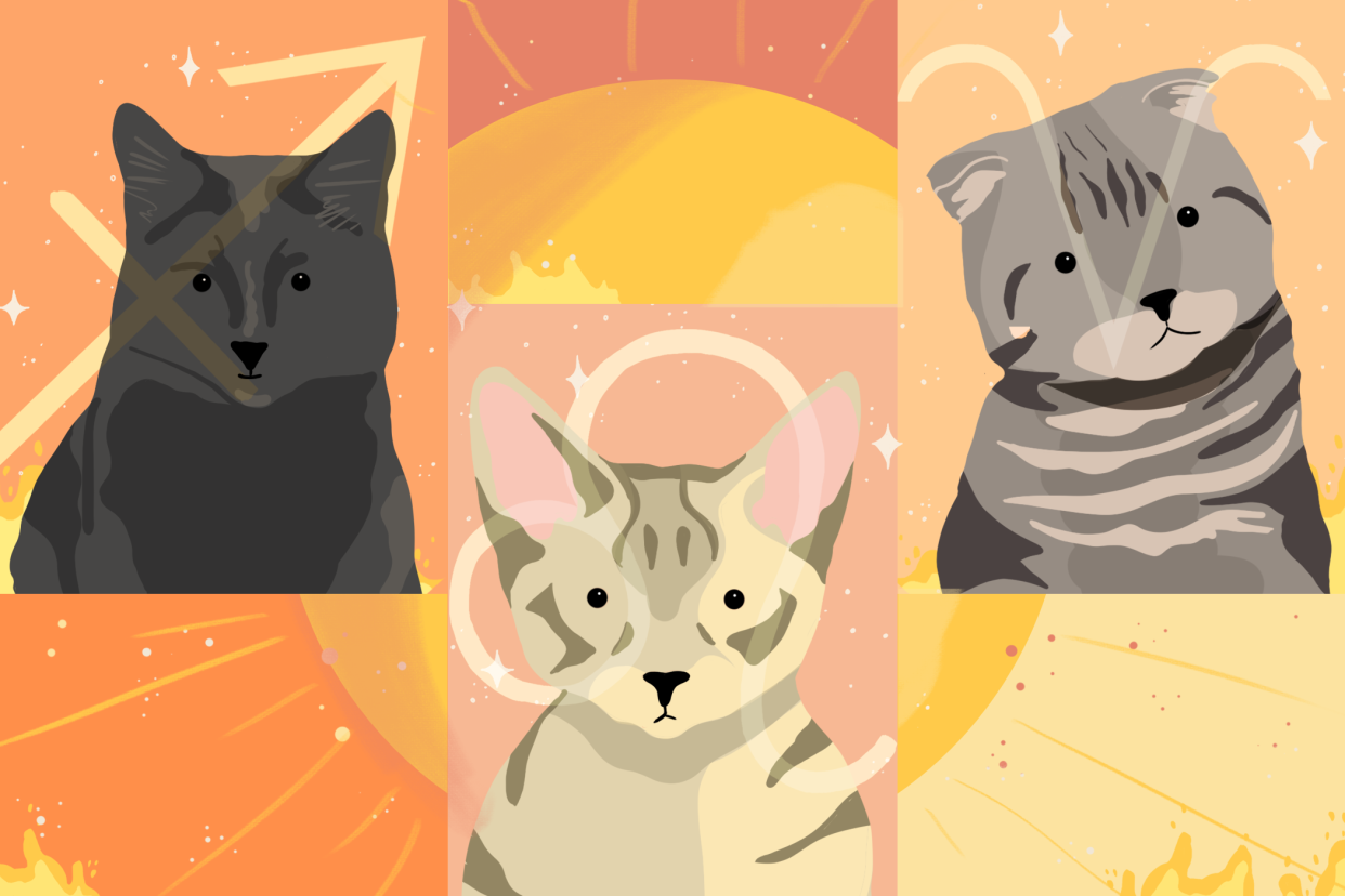 Illustration of fire signs for cat horoscope, Sagittarius, Leo, Aries