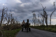 A resident drives his horse-drawn cart past trees destroyed by Hurricane Ian in La Coloma, in Pinar del Rio province, Cuba, Wednesday, Oct. 5, 2022. (AP Photo/Ramon Espinosa)