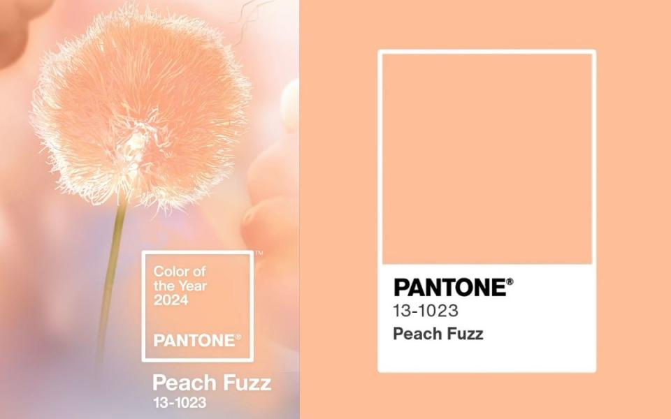 PANTONE 13-1023 Peach Fuzz Photo Via:pantone