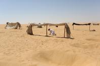 A worker flattens the sand in the area of a tent before patients use it as a "sauna" after their sand bath in Siwa, Egypt, August 12, 2015. (REUTERS/Asmaa Waguih)