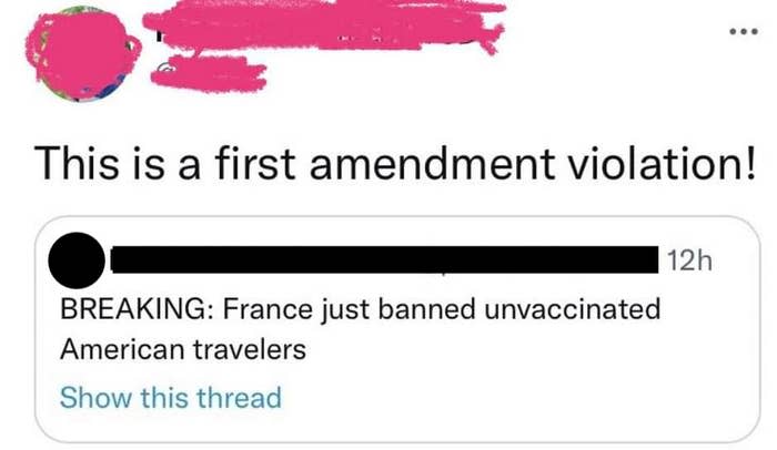 Person who says it's a First Amendment violation for unvaccinated American travelers to be banned from France