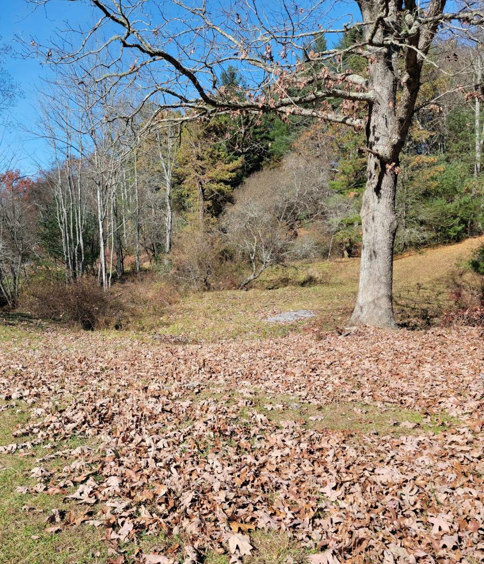 This is part of the 422-acre residential lot purchased off North Bearwallow Road.