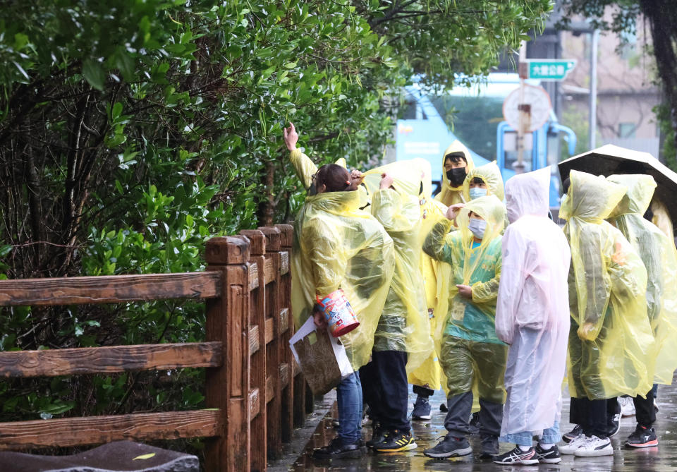 向小局長說明水筆仔、自然生態，並解釋碳匯對淨零的重要性。（新北市環保局提供）