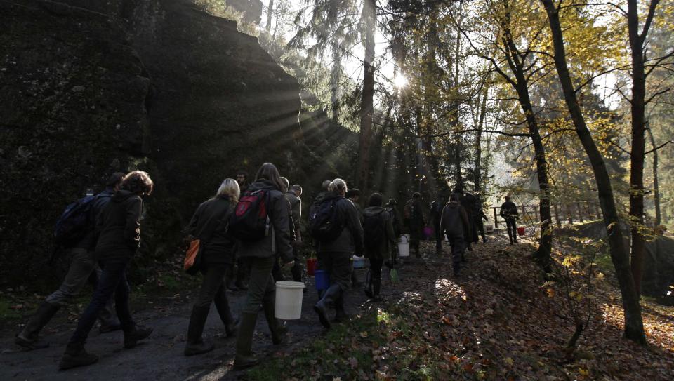 Volunteers carrying buckets containing salmon fry walk through woods towards the Kamenice river near the village of Jetrichovice