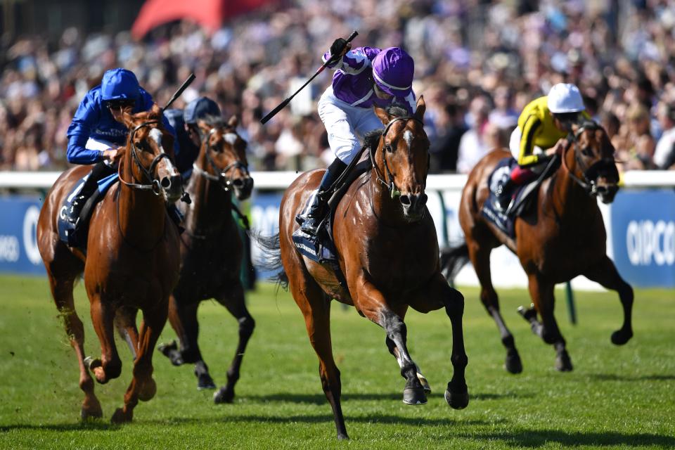 Saxon Warrior blotted his copybook in the English and Irish Derby following his 2,000 Guineas victory