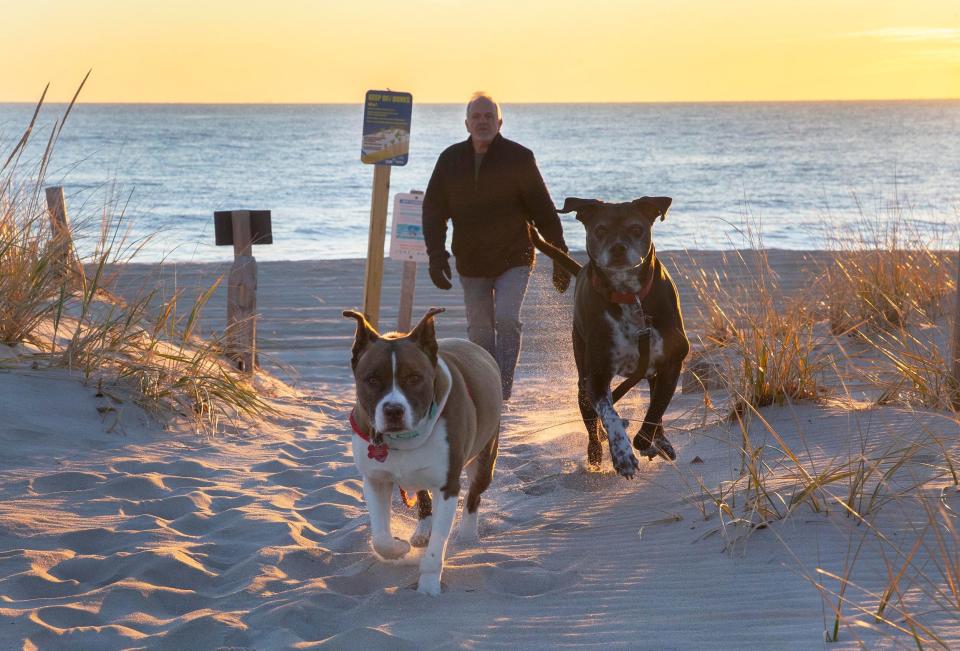 Friendly FellasTwo dogs, off leash, enjoy their freedom on a nearly empty beach at Island Beach State Park. 