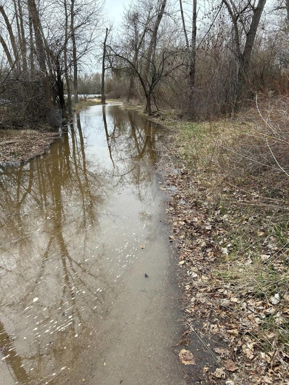 The Bethine Church River Trail, a 1.6-mile unpaved stretch of the Boise River Greenbelt, has experienced flooding throughout the spring.