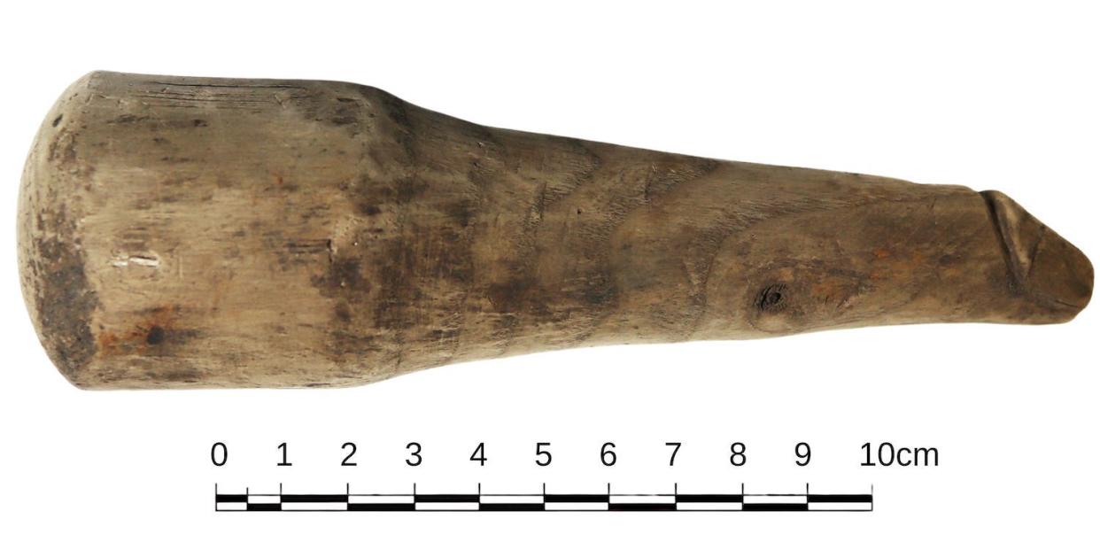 A phallic wooden object found at the ancient roman site of Vindolanda, shown with a cm scale indicating it is about 6 inches long.