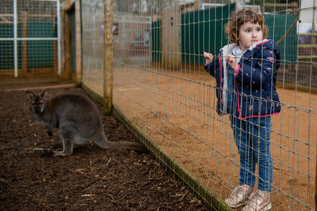 Elena, who is two years and seven-months old, and the eldest daughter of Maria and Adi, looks at animals during a visit with her aunt Nicoleta, 34, to the Venture Wildlife Park near London, Britain, February 12, 2019. REUTERS/Alecsandra Dragoi