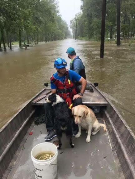 Volunteers for the&nbsp;Islamic Society of Greater Houston&nbsp;rescue dogs trapped in Hurricane Harvey.