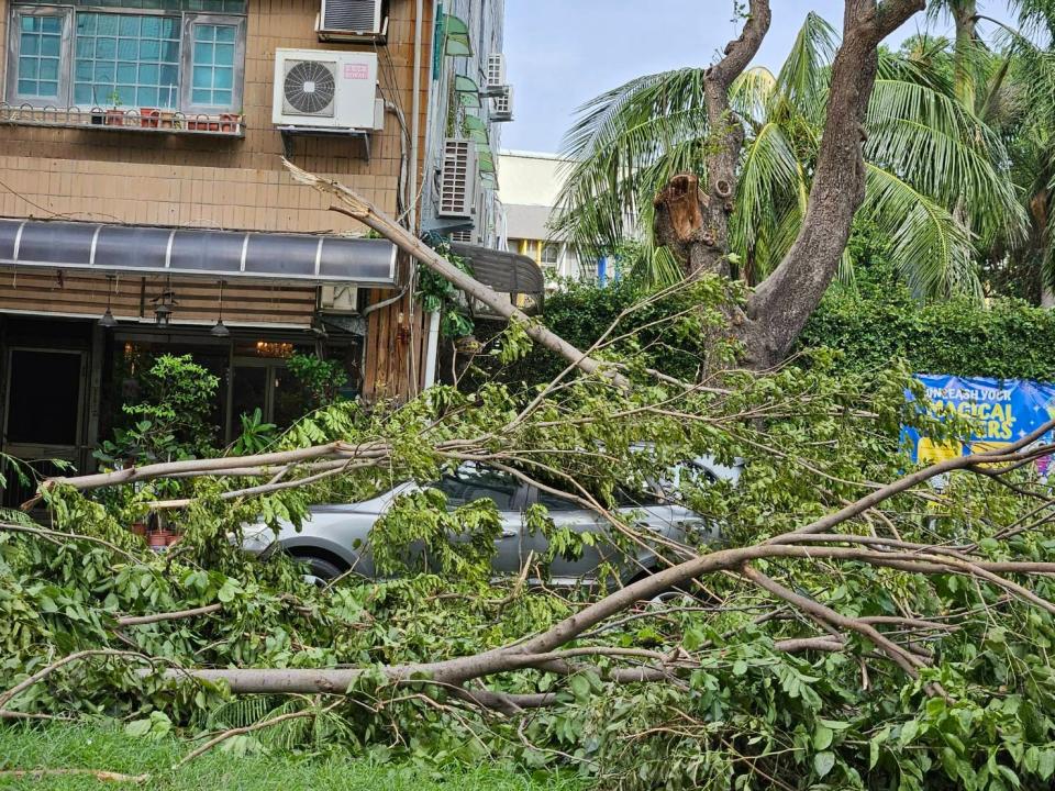 山陀兒肆虐高雄，路樹倒塌災情就有2577件，民眾車輛停路邊慘遭路樹砸中淹沒。施書瑜攝