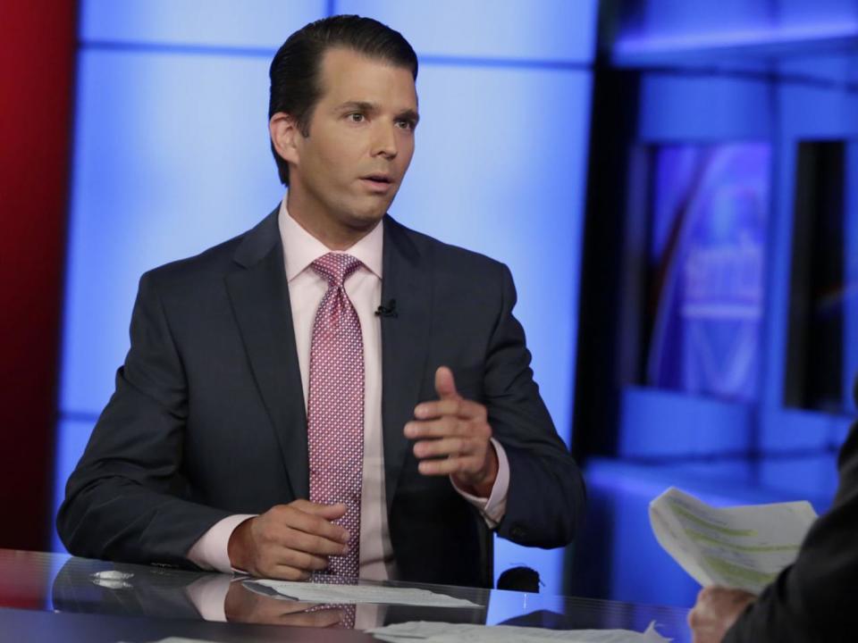 Donald Trump Jr on Fox News last week talking about his meeting with a Russian lawyer (AP)