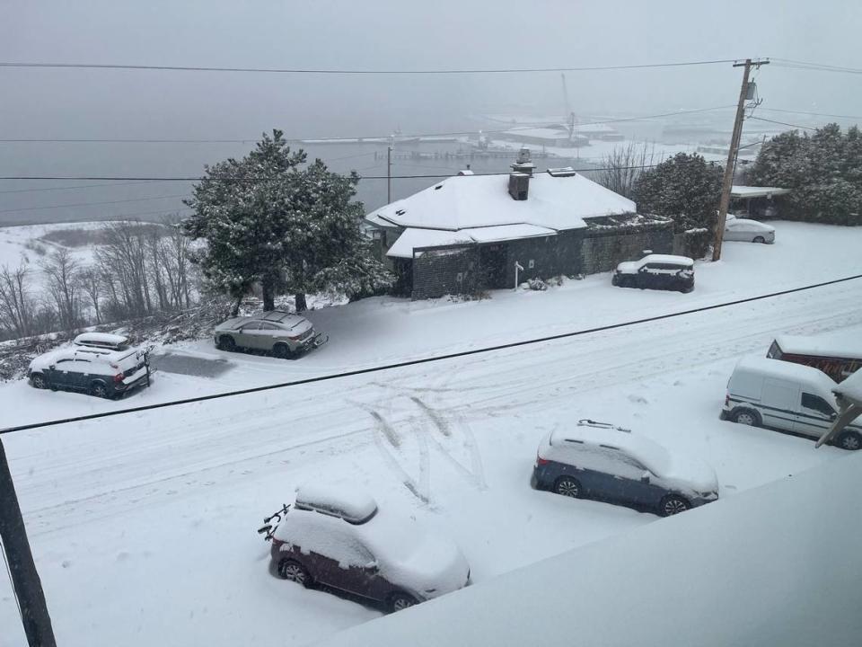 Snow covered a bus route and several vehicles early Wednesday morning on January 17, 2024, near downtown Bellingham, Wash.