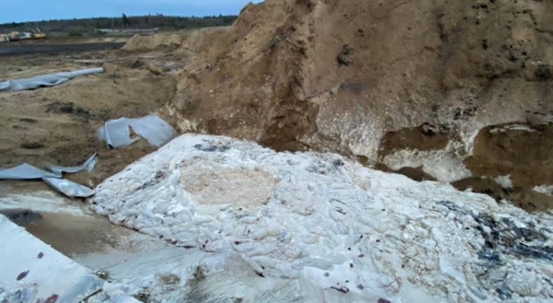 因為掩埋不夠深，大量水貂屍體被沼氣推上地面，形成駭人景象。（圖／翻攝自Anders Davidsen推特）