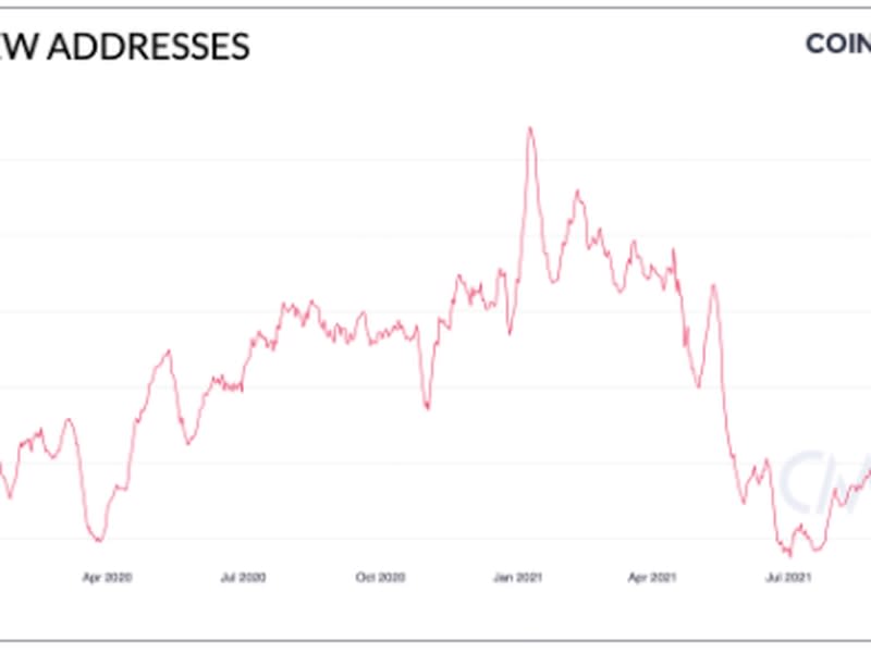 BTC New Addresses