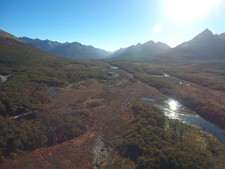 Las turberas son humedales y funcionan como grandes reservorios de captura de carbono; dependen del agua de los glaciares para subsistir