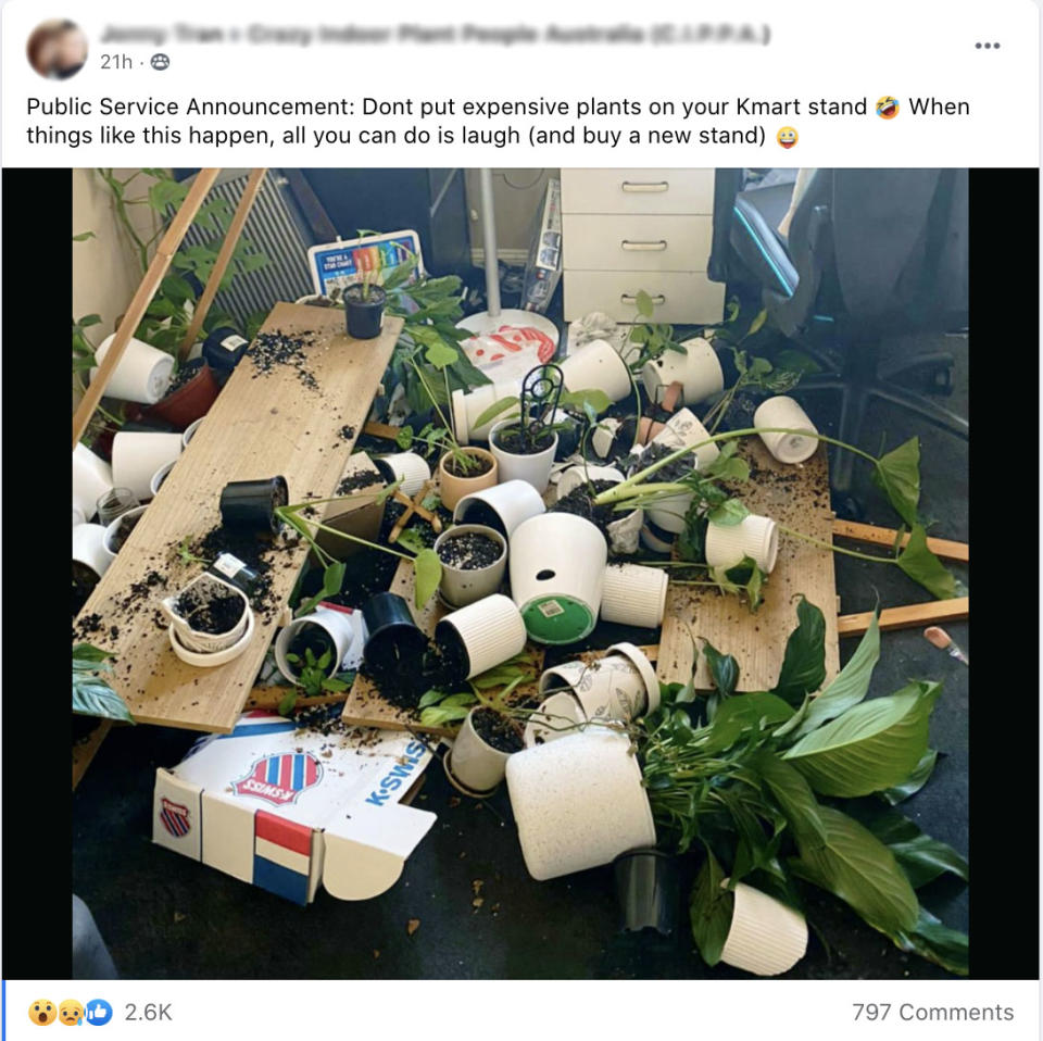 A Kmart shopper's shelves have collapsed, sending potted plants and soil all over the floor. Photo: Facebook.