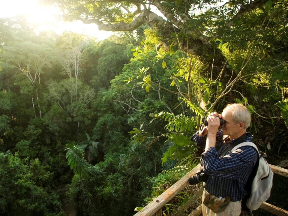 man with binoculars surveys rainforest canopy green trees