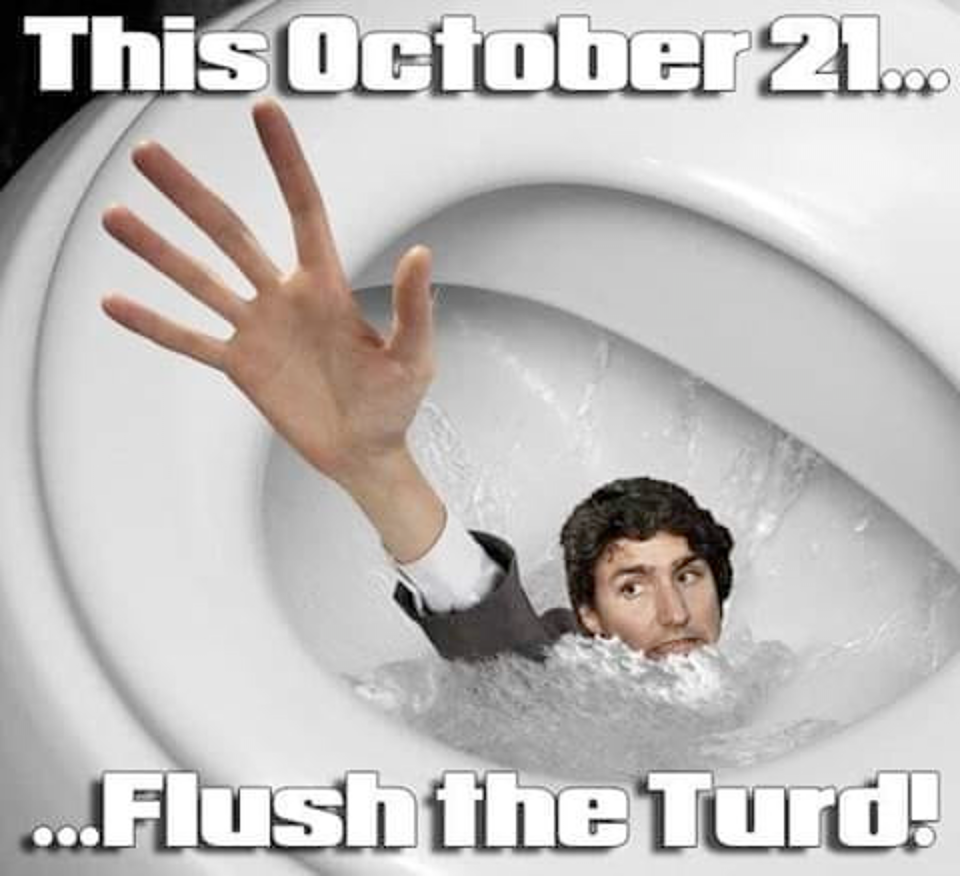 A meme asks Canadians to 'flush the turd'