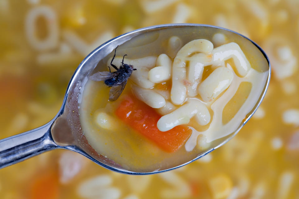 “¡Camarero, hay una mosca en mi sopa!”. Foto: DebbiSmirnoff/Getty Images