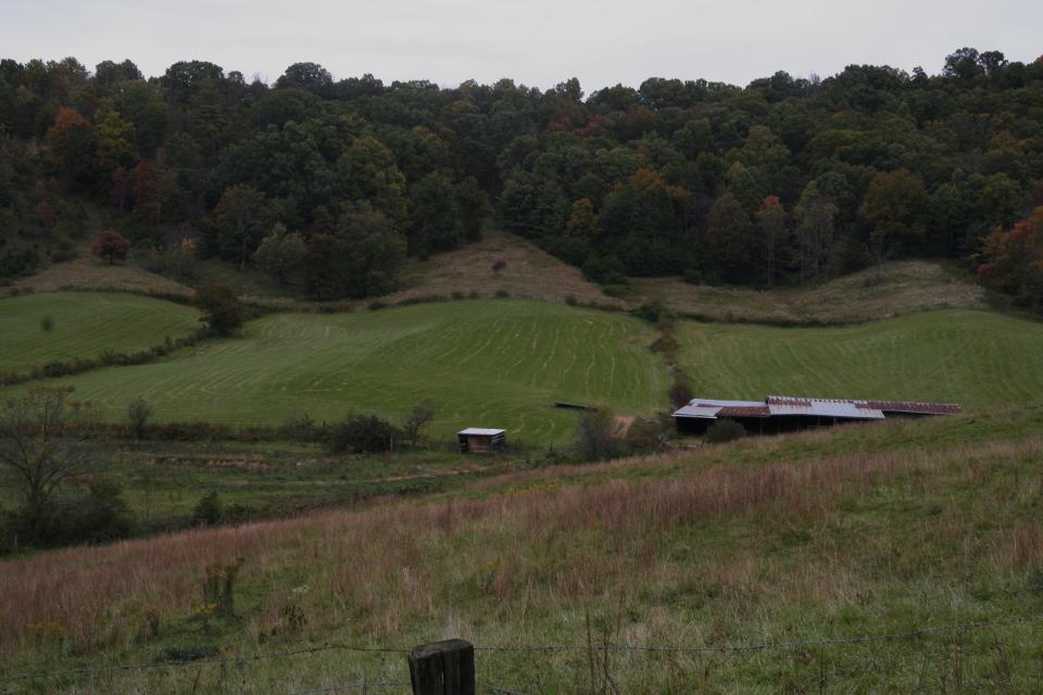 Brittain Cove looking from the edge of the Brittain family cemetery toward the tail end of the Whitted Knob Ridge, 2006. Photo by Henry Neufeld.