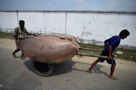 Bangladeshi men wheel a manta ray past Nazirartek fish drying yard in Cox's Bazaar, Bangladesh, March 23, 2018. REUTERS/Clodagh Kilcoyne