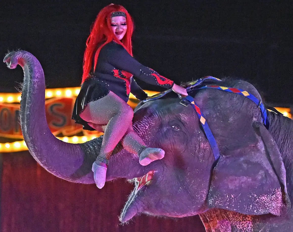 Evelyn Caballo performs with an Asian elephant during an appearance of the Loomis Bros. Circus in Sarasota in August 2022. Loomis Bros. is a traditional three-ring circus with live animals and a live band.