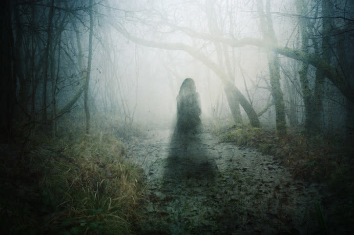 A ghostly transparent woman floating above a pond in a forest on an atmospheric winter's day with a grunge, blurred vintage edit