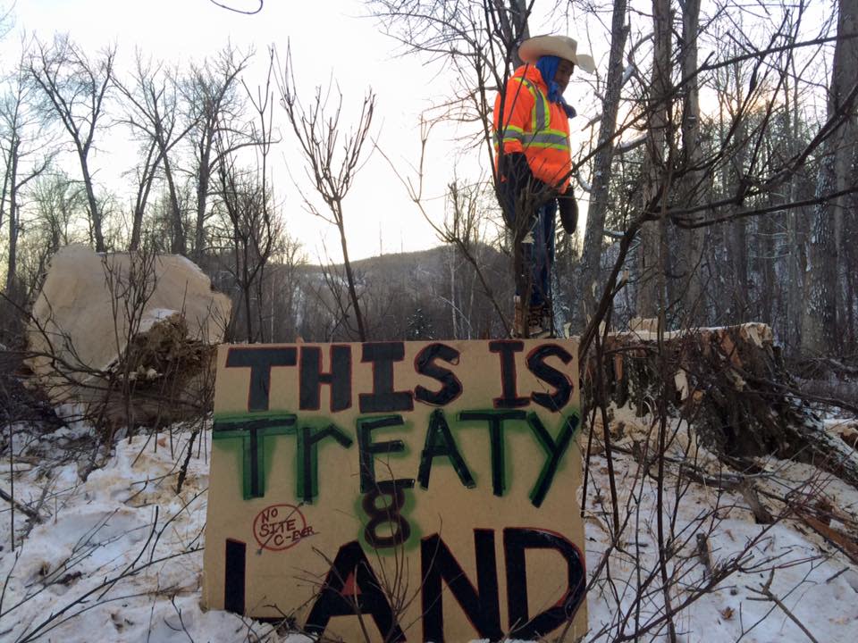 Treaty 8 First Nations elder Jack Askoty stands on an old growth logged tree stump on the Site C construction site. 