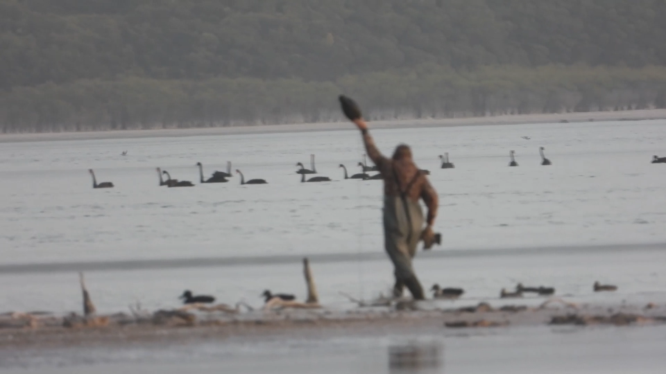 On Lake George, a hunter holds a duck decoy high in the air whilst carrying a dying duck he's just shot close to his body. Swans can be seen in the background.