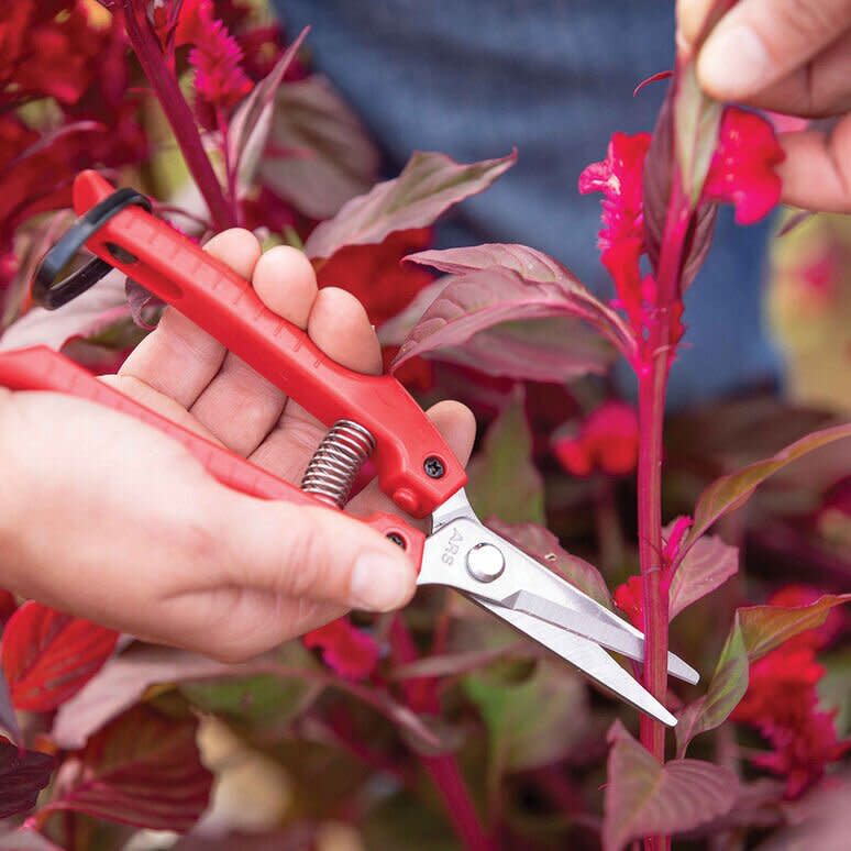 Johnny's ARS SE45 Floral Shears