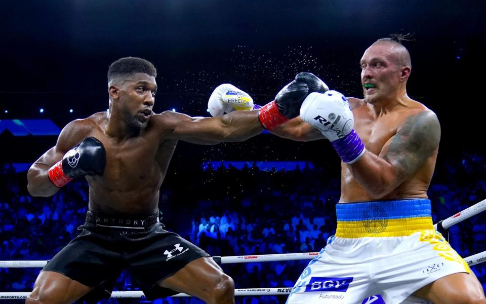 Anthony Joshua (left) and Oleksandr Usyk in action during their World Heavyweight Championship - PA