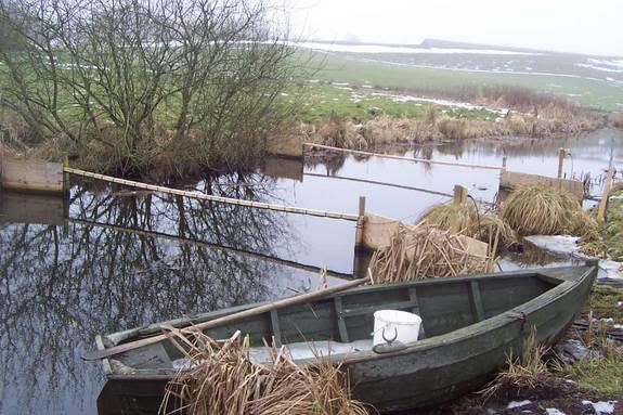 Researchers attached passive integrated transponder tags to more than 2,200 roach fish living in two lakes in Denmark. Then they set up antennas (shown here) to pick up signals from the tags.