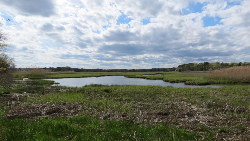 Jehu Pond Conservation Area, Mashpee.