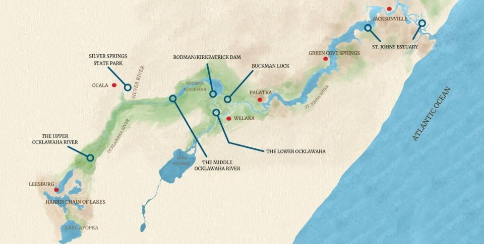 The Ocklawaha River is the heart of the Great Florida Riverway, a  217-mile system beginning at Lake Apopka, flowing north past Silver Springs and ending at the lower St. Johns River and Atlantic Ocean. The Ocklawaha River was dammed in 1968, blocking the historic river route for fish, manatees and boaters from Silver Springs to the Atlantic Ocean.