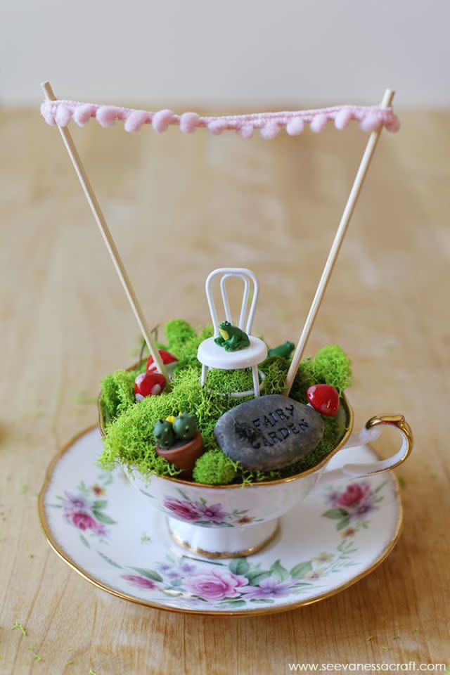 Teacup Moss Terrarium