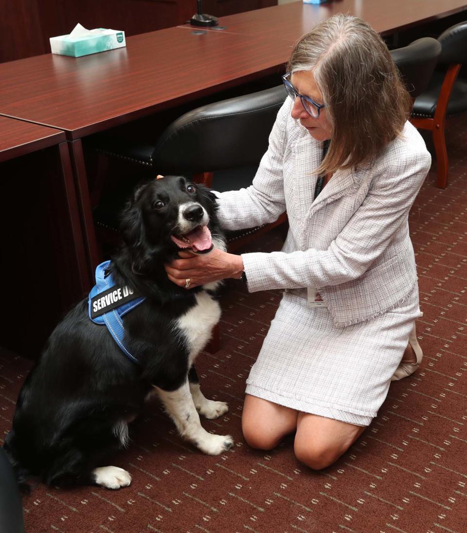 Summit County Juvenile Court Judge Linda Tucci Teodosio pets Tater Tot, the facility therapy dog at Summit County Juvenile Court.