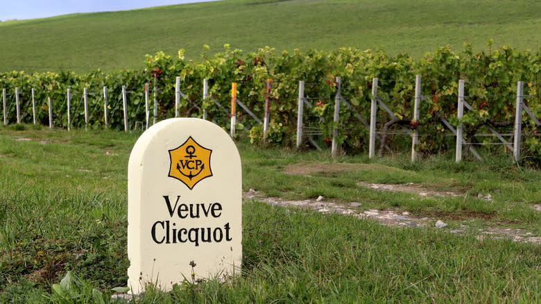 Veuve Clicquot vineyard